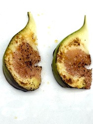 Karamellisert fiken
