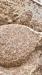 Pourover-fløte til kaffemousse