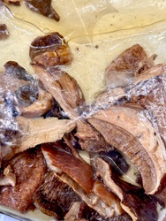 Rehydrert, smørstekt og gininfusert steinsopp