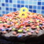 Mafioso sjokoladekake fra Det søte liv