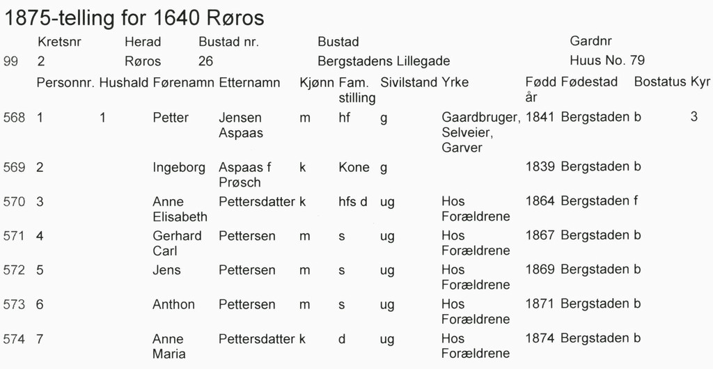 1875-telling for 1640 Røros.